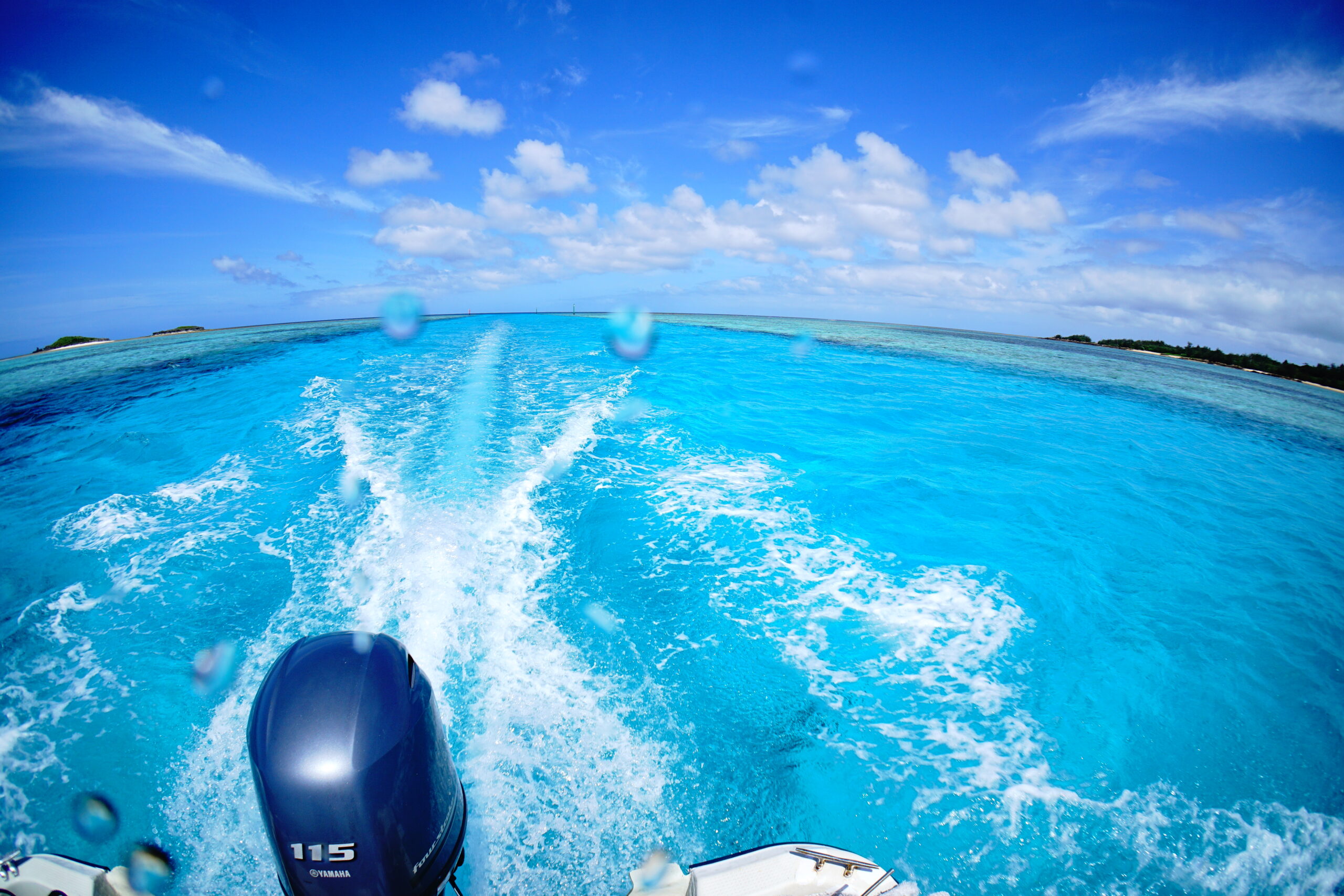 2024年5月20日 ばら園、クサシ前、いぜちゃま