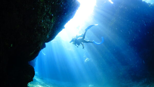 ２０２５年１０月１３日　ギタラビリンス、はまさん、アヒラー