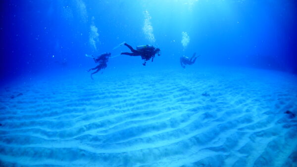 ２０２５年１０月２７日　はまさん、アヒラー