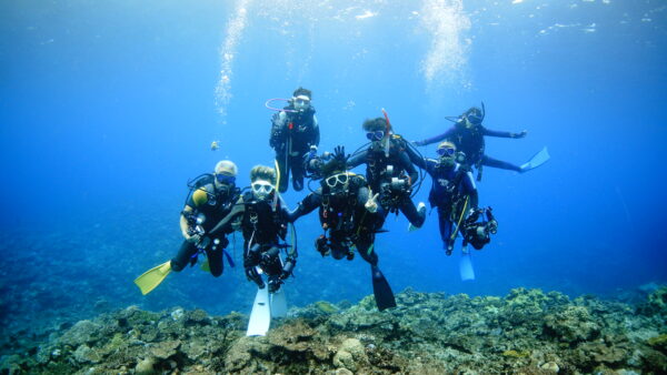 ２０２５年１１月８日　クサシ前、ばら園、コーラルウェイ