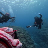 ２０２５年１１月１７日　ばら園、シヌグジ、いぜちゃま