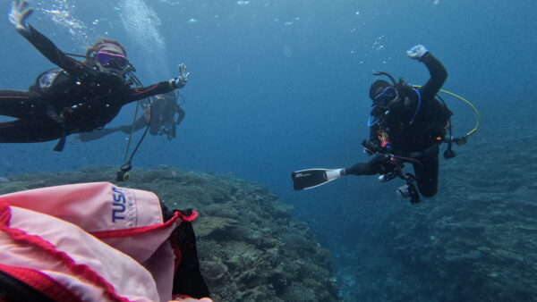 ２０２５年１１月１７日　ばら園、シヌグジ、いぜちゃま