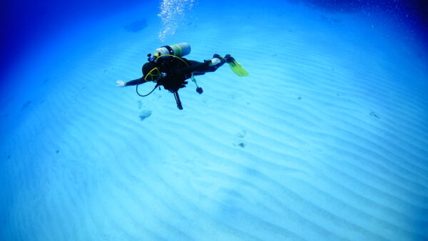 ２０２６年４月１０日　ダイビングログ｜強い南西風のため１本で終了、それでも満足のはまさん