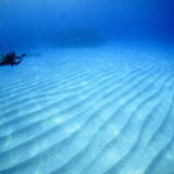 2026年4月19日 ダイビングログ｜記念ダイブとサンゴ満喫、変化のある海を楽しんだ1日