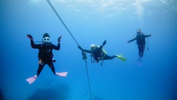 2026年4月24日 ダイビングログ｜濁りの中でも魚影しっかり、小魚天国の3ダイブ