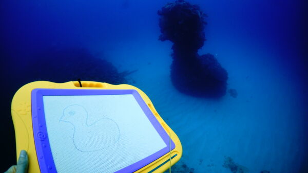 2026年4月25日 ダイビングログ｜午後2ダイブでじっくり楽しむ伊是名の海