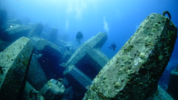 2026年4月30日 ダイビングログ｜強風スタートから回復、変化を楽しんだ2ダイブ