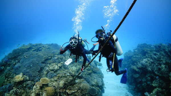 ２０２６年４月２日　屋那覇の東