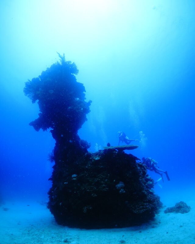 #伊是名島 キミに会うのがもう少し後だったら、名前は“烏骨鶏”になっていたでしょう。#賛否両論あひるちゃん全長８ｍ。......................................................................【沖縄北部小さな島のダイビング屋さん】#イゼナマリンサービスグイン ●ライセンスをお持ちのダイバーさん専門●2025ツアー“11月21日”まで●営業日確認/ 問い合わせ“ハイライト”へ　　　　　　　　　　　　　→ @izena_guin......................................................................#沖縄 #沖縄北部 #伊是名 #いぜな #沖縄離島 #離島 #沖縄ダイビング #離島ダイビング #伊是名ダイビング #ダイビング #スキューバダイビング  #サンゴ  #サンゴ礁 #ナイトロックス #グイン #伊是名島ダイビング