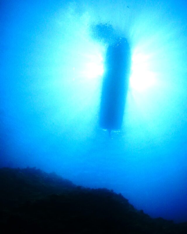 #伊是名島 本日月イチ海中清掃！サンゴ礁に絡まっている廃漁網の撤去を行いました。ご新規のレイディでしたが、予約の時点で清掃参加を快諾してもらって女将と２人でいざ！でっかい塊とサンゴに絡まってから大分時間が経ってしまったものを丁寧に外して持ち帰りました。またひとつ伊是名のサンゴが守られたー♡ふわふわ揺れる漁網にはサンゴが上手く着底できなかったり、しても大きくなれなかったりなので、こうしてみなさんの力を借りて綺麗に出来るのは本当に助かります。ご協力ありがとうございました！次回は6月4日！フェリードック期間のため、往路11時発/復路13時発の1便運航(伊平屋代船)になります。【6月3日IN】→【6月4日OUT】＝【1泊4ダイブ】なんてスケジュールいかがですか♡ドック＆梅雨キャンペーンやってます！詳しくはハイライトお知らせ最新へ！→ @izena_guin......................................................................【沖縄北部小さな島のダイビング屋さん】#イゼナマリンサービスグイン ●ライセンスをお持ちのダイバーさん専門●まったり好きの中級スキル以上の方向き●2025ツアー“11月21日”まで●営業日確認/ 問い合わせ“ハイライト”へ　　　　　　　　　　　　　→ @izena_guin......................................................................#沖縄 #沖縄北部 #伊是名 #いぜな #沖縄離島 #離島 #沖縄ダイビング #離島ダイビング #伊是名ダイビング #ダイビング #スキューバダイビング  #サンゴ  #サンゴ礁 #ナイトロックス #グイン #伊是名島ダイビング