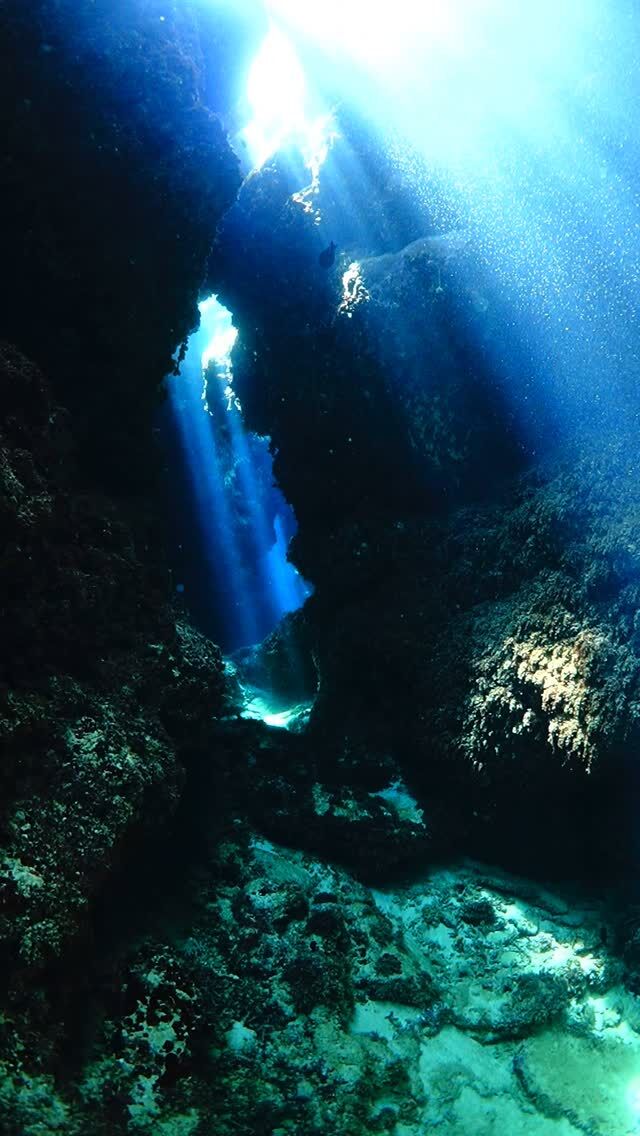 #伊是名島 一緒に探検しちゃう？※シュノーケル(スキン)で洞窟内のご案内はしておりません。安全が確保できないためご理解ください。......................................................................【沖縄北部小さな島のダイビング屋さん】#イゼナマリンサービスグイン ●ライセンスをお持ちのダイバーさん専門●まったり好きの中級者以上の方向き●2025ツアー“11月21日”まで●営業日確認/ 問い合わせ“ハイライト”へ　　　　　　　　　　　　　→ @izena_guin......................................................................#沖縄 #沖縄北部 #伊是名 #いぜな #沖縄離島 #離島 #沖縄ダイビング #離島ダイビング #伊是名ダイビング #ダイビング #スキューバダイビング  #サンゴ  #サンゴ礁 #ナイトロックス #グイン #伊是名島ダイビング